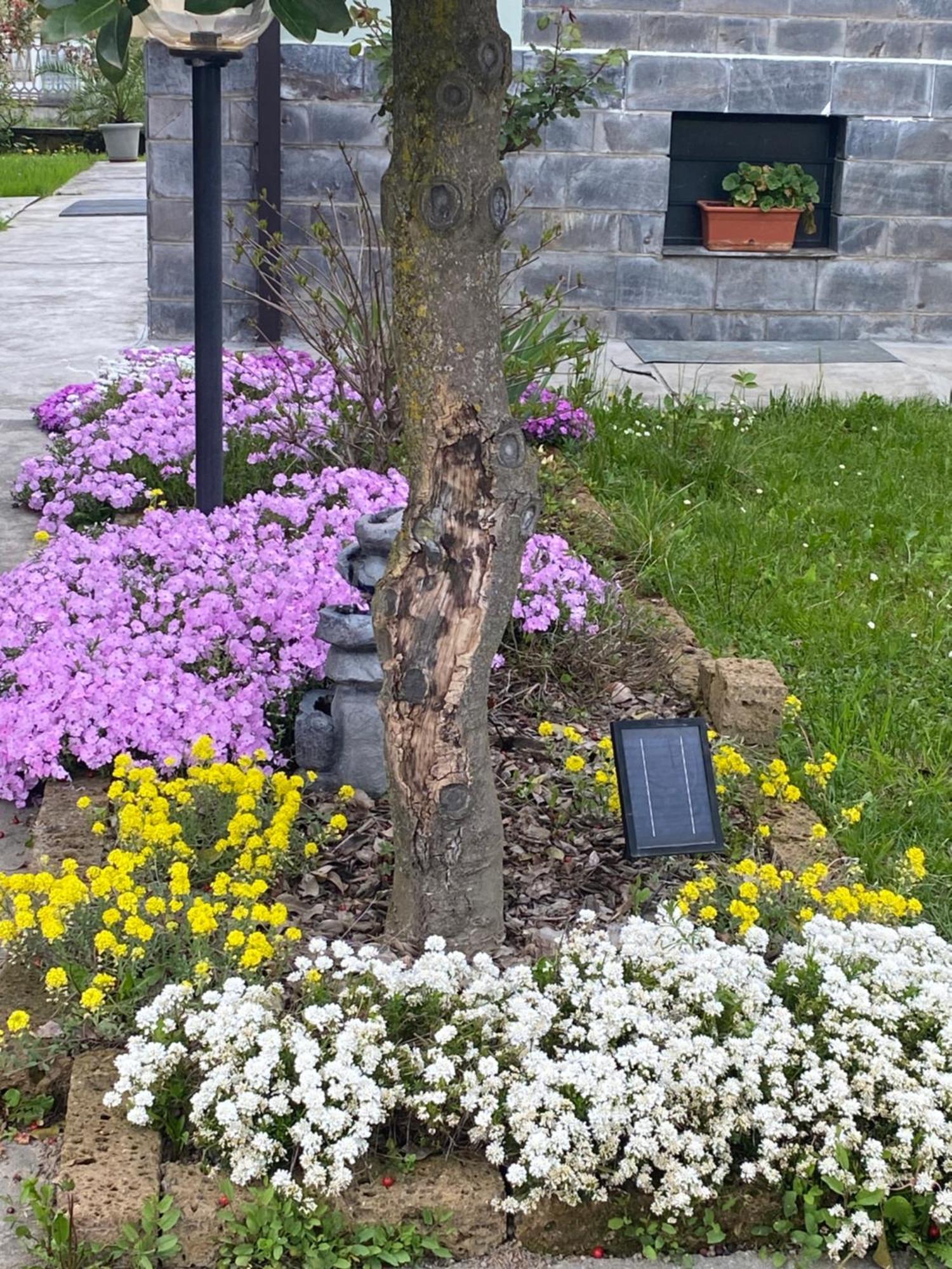 B&B Il Castagno Roccavione Kültér fotó